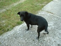 moro4