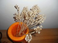 candella e fiori