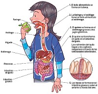 Ciencias Naturales