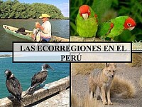 ECORREGIONES DEL PERÚ