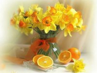 Frühlingserwachen