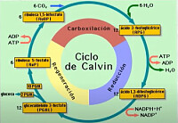 Biología