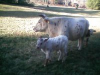 Mom and Baby