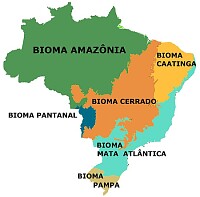 Mapa dos biomas brasileiros