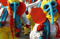 PEAPEACARNAVAL