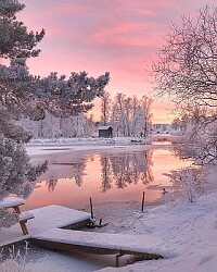 snowy landscape