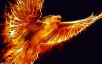 fenix