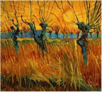 Willows at Sunset