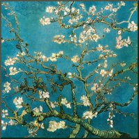 Almond Branches In Bloom San Remy, blue