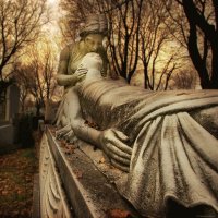 Enduring Love