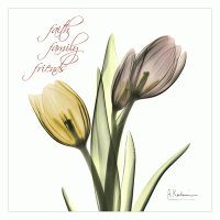 Tulips Faith Family Friends