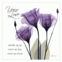 Your Love Purple Tulip