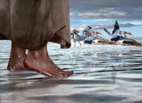 Walking on Water