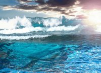 Waves