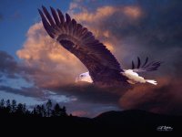 Yeshua is Calling
