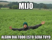 mijo