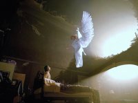 Anjo da Guarda