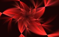 flor