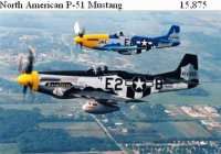 P 51