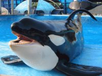 sea world