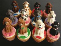 Muffins