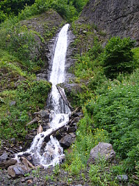 iuri
