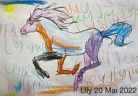 Le cheval a Lily