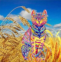 Chat dans les bles