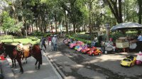 Un día en el Parque Los Berros