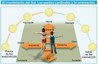 tareas