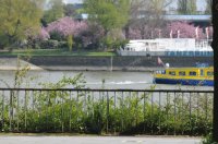 Rhine River