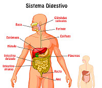 ciencias naturales