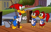 pajaro loco