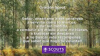 Scouts