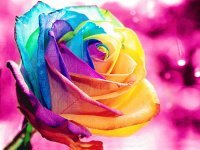 fantasia de colores