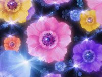 fantasia de colores