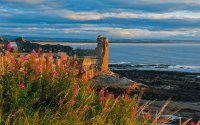 St Andrews Castle, Fife, Scotland
