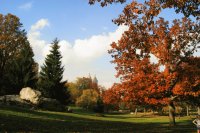 Central Park