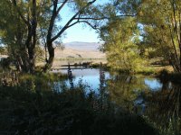 lake view alexandrina nz