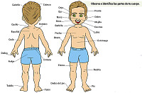 View Album