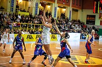 Pallacanestro