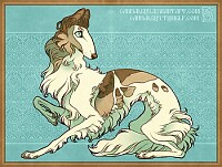 Borzoi