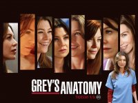 MEREDITH GREY