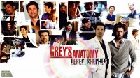 DEREK SHEPHERD