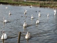 Approaching hopefully! Nantwich, UK