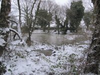 Frozen Pond, Cheshire UK