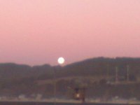 Curanipe - Chile
