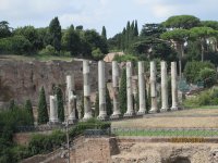 Forum