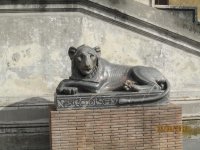 At the Vatican