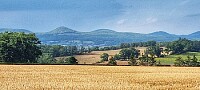 Paysage